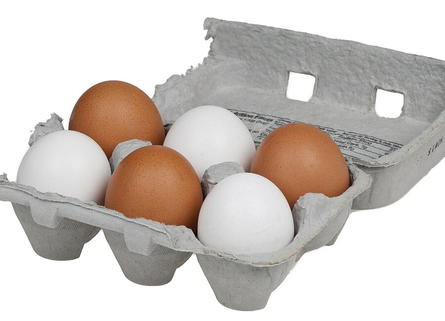 Huevos camperos docena