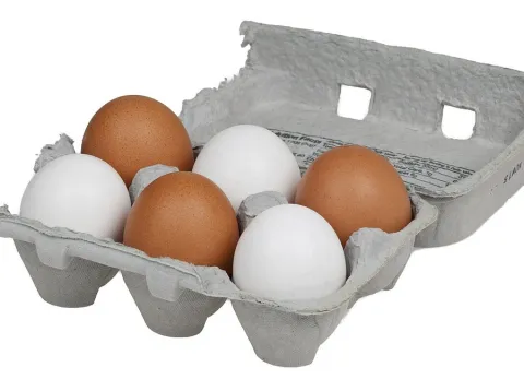 Huevos camperos docena